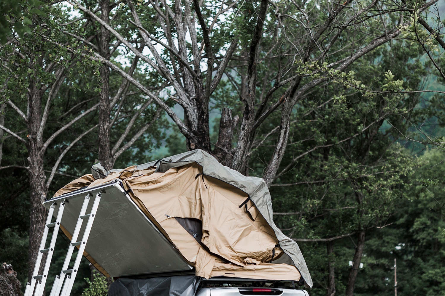 Namiot na kamperze 